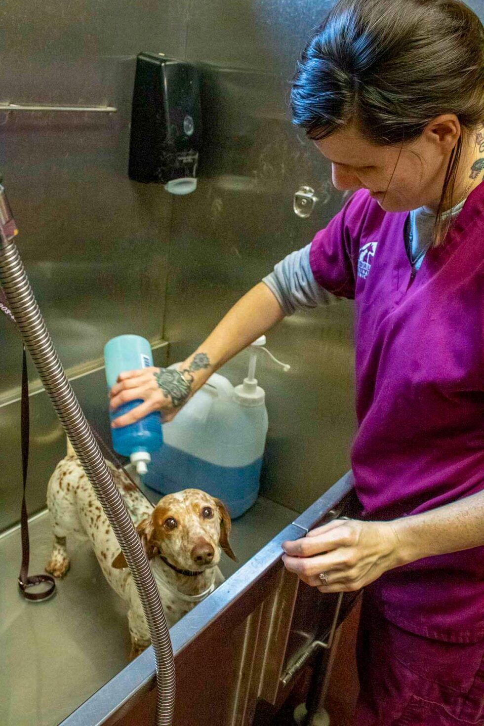 Pet Boarding In Lindale, TX Lindale Veterinary Clinic