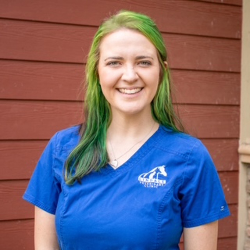 Allison Allison