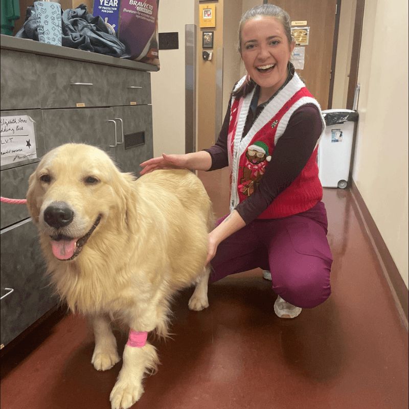 technician andrea with a dog