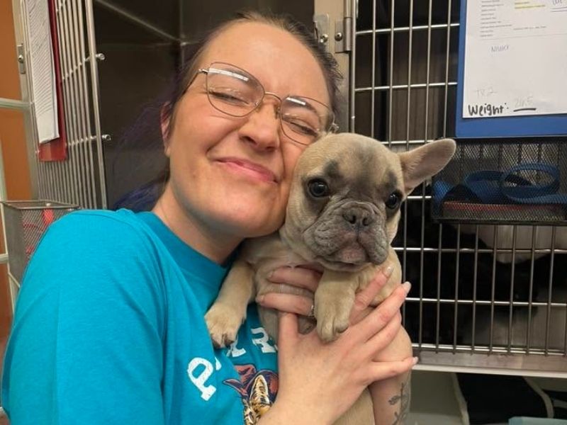A vet staff gently holds a small dog